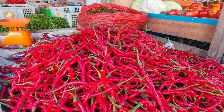 Harga Cabai Merah di Sumut Turun ke Rp 28 Ribu per Kg, Cabai Rawit Justru Tembus Rp 67 Ribu