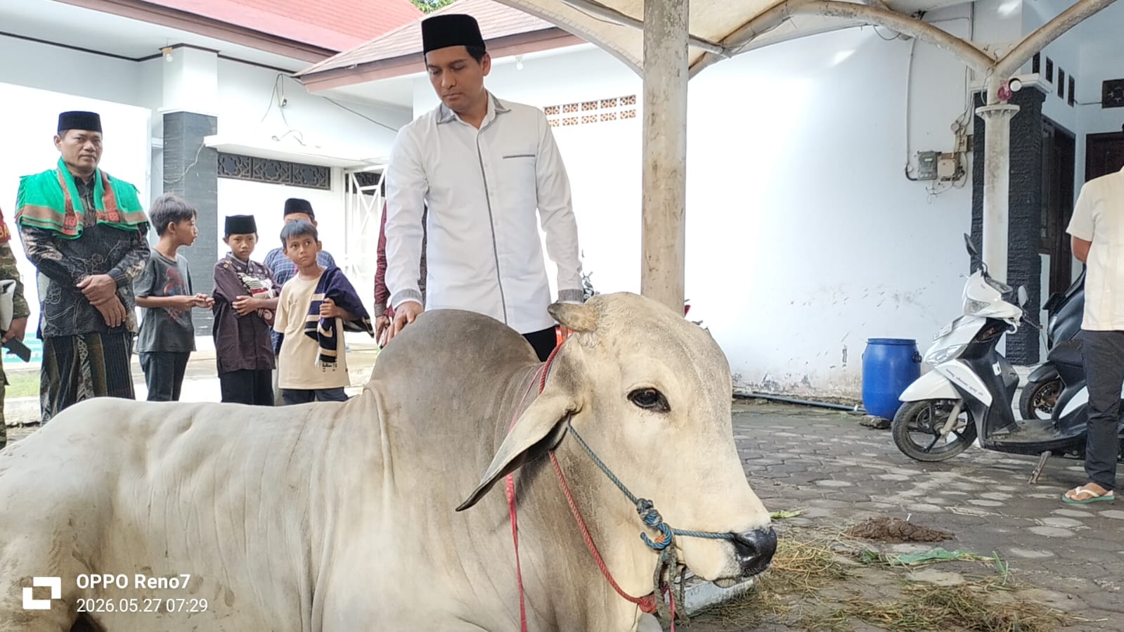 Bupati Indramayu Lucky Hakim Terharu Nilai Kurban Warga Tembus Rp82,3 Miliar, Tersebar di 1.444 Ekor Sapi