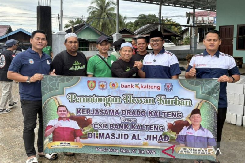Pengurus Orado Murung Raya Salurkan Sapi Kurban Bantuan Gubernur Kalteng di Masjid Al-Jihad Puruk Cahu