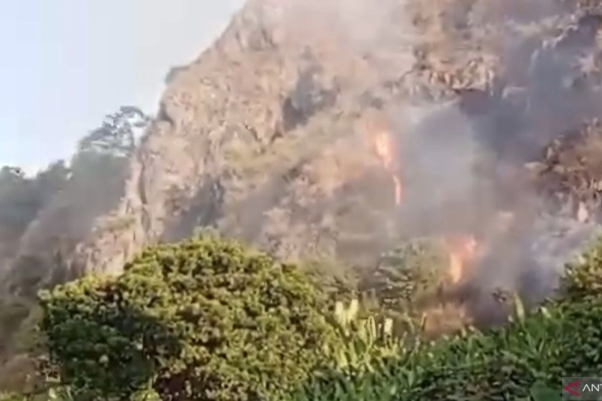 Tiga Kebakaran Hutan dan Lahan Terjadi di Bandung Barat dalam Sepekan, Disdamkarmat Imbau Warga Waspada Musim Kemarau