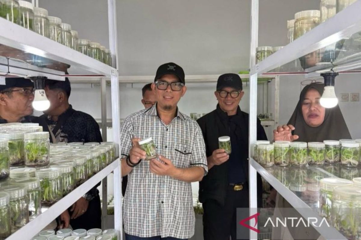 Pemkab OKU Siapkan Laboratorium Kultur Jaringan demi Selamatkan Durian dan Duku Lokal dari Kepunahan