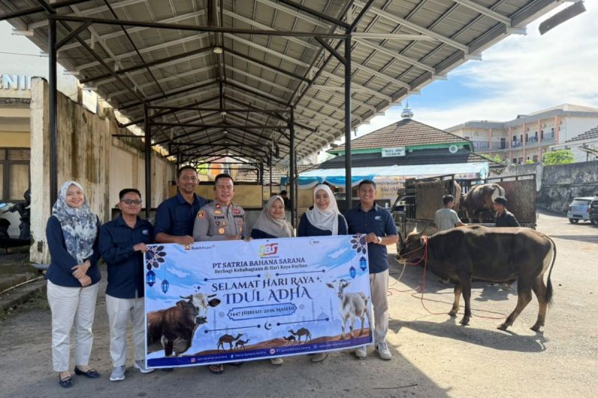 PT SBS Salurkan Sapi dan Kambing Kurban di Sumsel, Bantuan Juga untuk Anak Wasting dan Pasien TBC