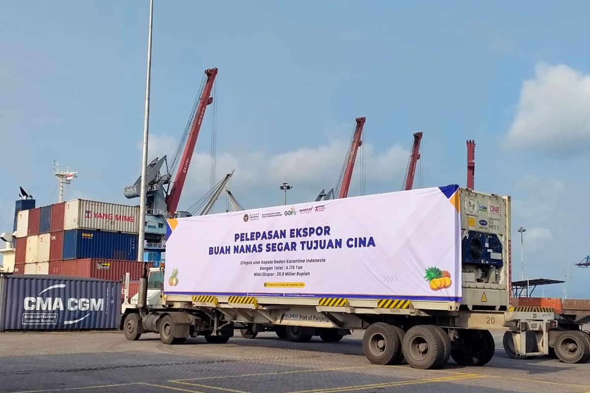 Neraca Dagang Lampung Surplus 251,32 Juta Dolar AS di Mei 2026, Bahan Kimia Organik Ekspor Melonjak 170 Persen