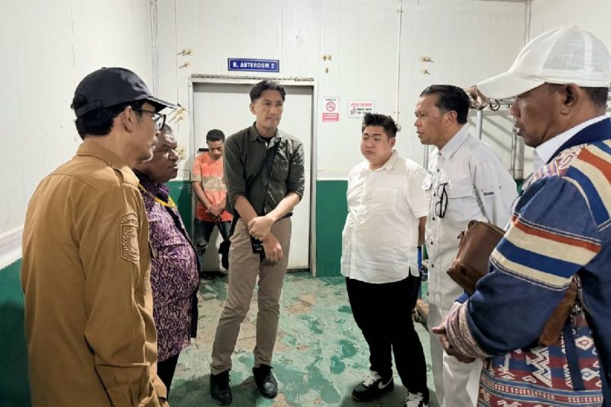 Investor Jepang Minati Gurita Papua, DKP Sebut Potensi Ekspor dari Biak hingga Jayapura Belum Tergarap Optimal