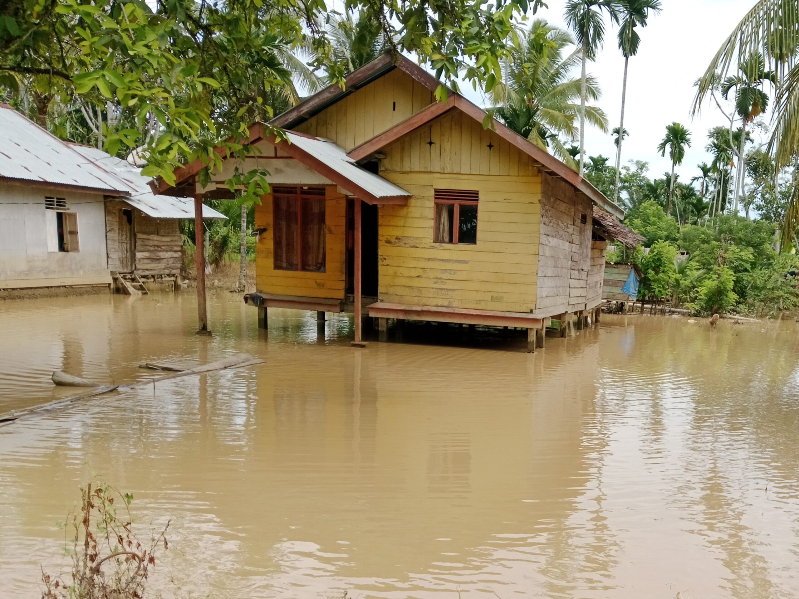 Banjir Rendam Tiga Gampong di Aceh Utara, Ratusan KK Terdampak dan Tanggul Jebol Segera Diperbaiki Rp8 Miliar