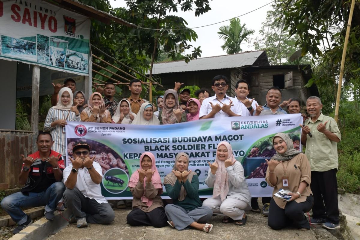Warga Padayo Padang Siap Budidaya Maggot BSF, Telur Dihargai Rp 5.000 per Gram