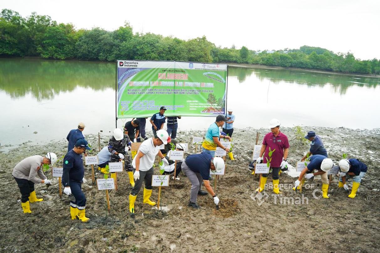 Pemkab Bangka dan PT Timah Hijaukan Kolong AKHLAK dengan 560 Pohon