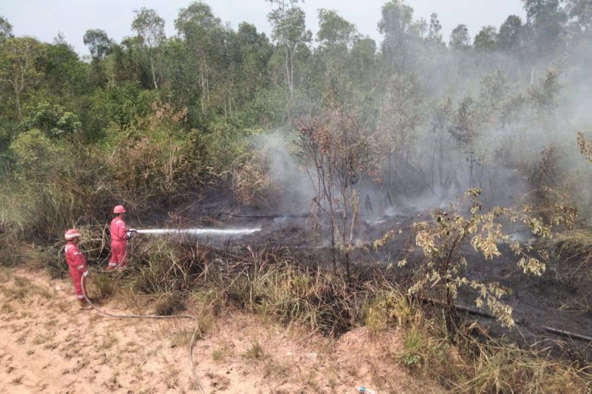 Pertamina EP Ramba Field Padamkan 17 Titik Karhutla di Muba dan Banyuasin, Warga: Api Cepat Dijinakkan