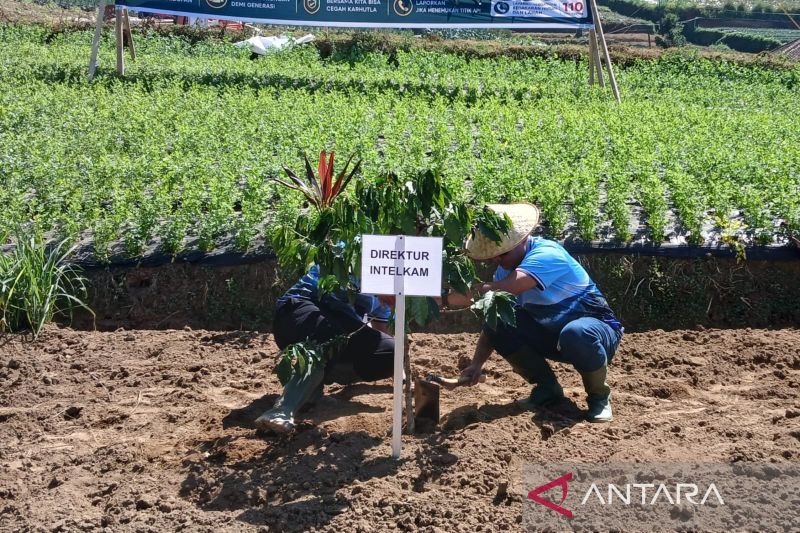 Polda Jateng dan Unnes Tanam 1.000 Bibit Kopi di Lereng Sumbing Magelang untuk Perkuat Ekosistem