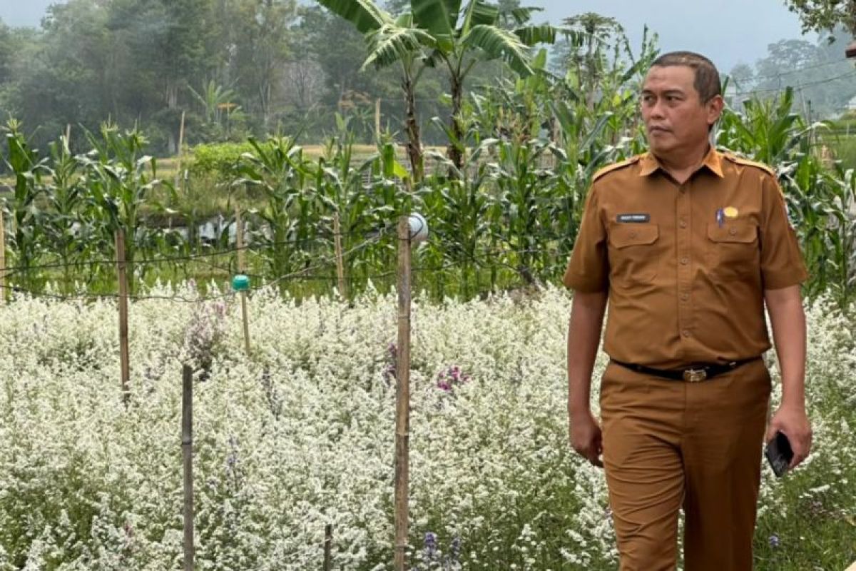 Dispertan Garut Berharap Hujan Selamatkan 588 Hektare Sawah Kering, 176 Hektare Terlanjur Puso