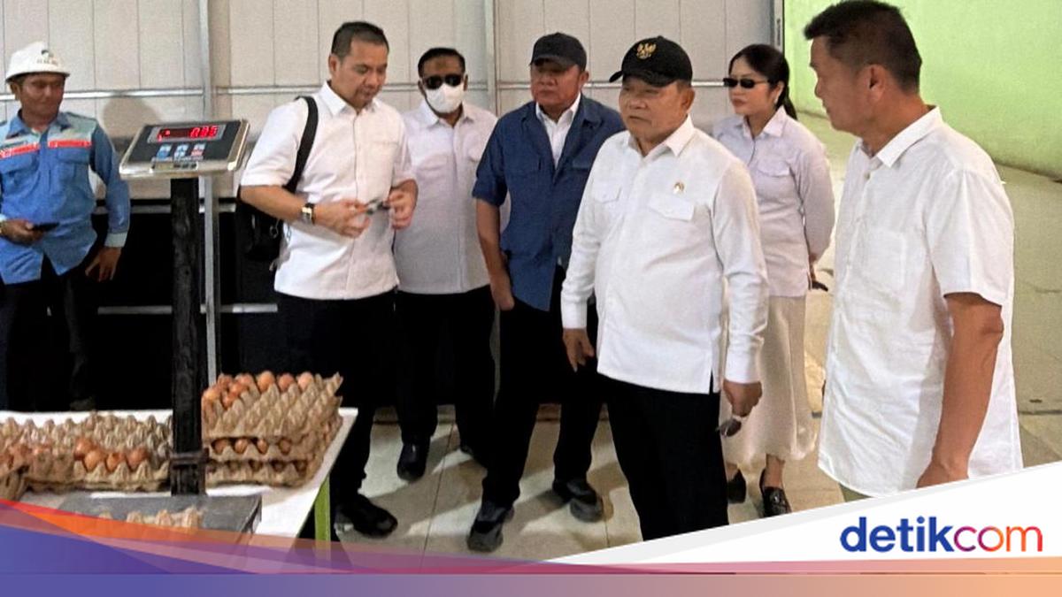 Gubernur Sumsel Herman Deru Tinjau Peternakan Ayam Petelur di Banyuasin, Produksi 20 Ton Per Hari untuk Dukung MBG