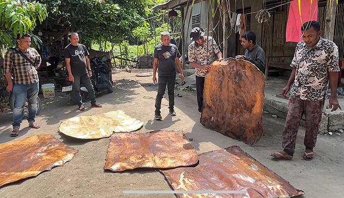 50 Grup Rapai Pase Siap Unjuk Kebolehan di Duel Akbar Aceh Utara, Momentum Kebangkitan Seniman Pasca Banjir