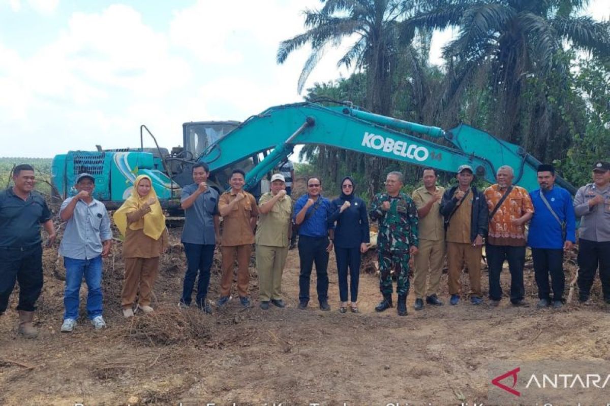 DKPP Belitung Remajakan 58,3 Hektare Kebun Sawit Rakyat di Badau, Targetkan Produktivitas Petani Naik