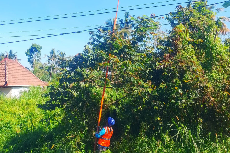 PLN Bali Timur Minta Warga Jauhi Kabel Listrik Saat Main Layang-Layang, Ini Risiko Korsleting dan Sengatan