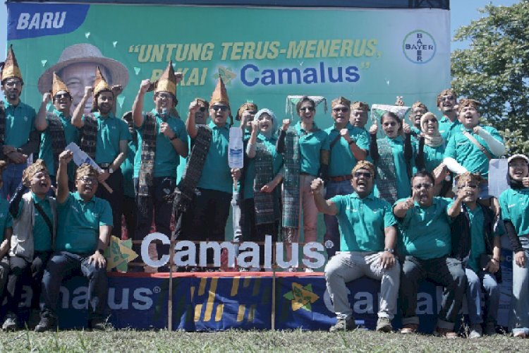 Bayer Luncurkan Insektisida Camalus di Simalungun, Klaim Bisa Basmi Dua Jenis Hama Sekaligus demi Dongkrak Produksi Cabai