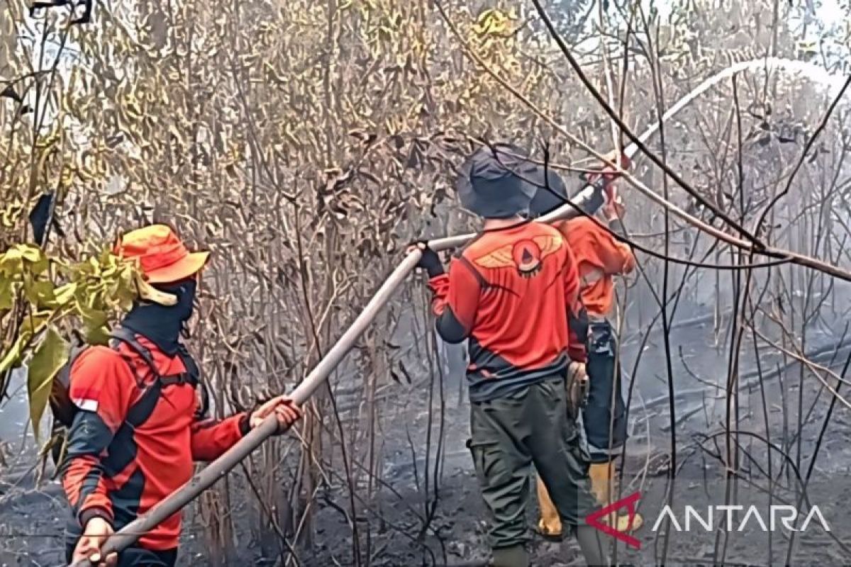 Satgas BPBD Muara Enim Lanjutkan Pemadaman Karhutla Gunung Megang, 8 Hektare Lahan Gambut dan Kebun Sawit Terbakar