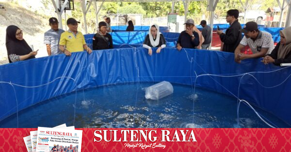 Pemkot Palu Salurkan 700 Bibit Ikan Nila ke Dua Kelompok Pembudidaya di Tondo dan Kabonena, Lengkap dengan Sistem Bioflok
