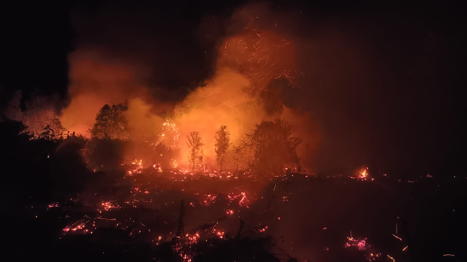 Hotspot Karhutla Kotim Tembus 740 Titik dalam Sepekan, Luas Lahan Terbakar Capai 373 Hektare