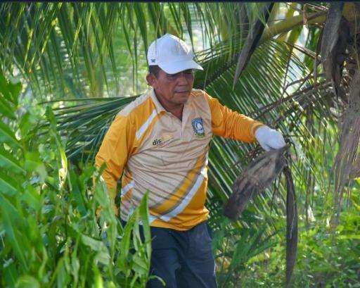 Gubernur Kepri Ansar Ahmad Pimpin Gotong Royong Bersihkan Pulau Penyengat, Warisan Sejarah dan Religi Dirawat Bersama