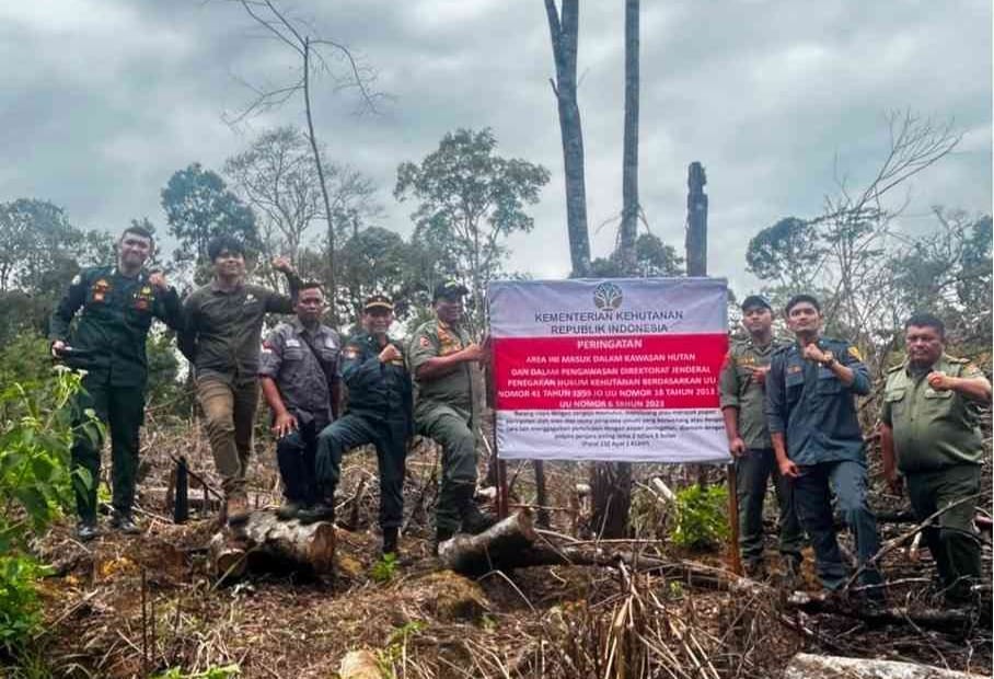 Kawasan Hutan Eks Izin Perusahaan di Kutai Kartanegara Diserobot Kebun Sawit Ilegal, Tim Gabungan Temukan Bukti Baru