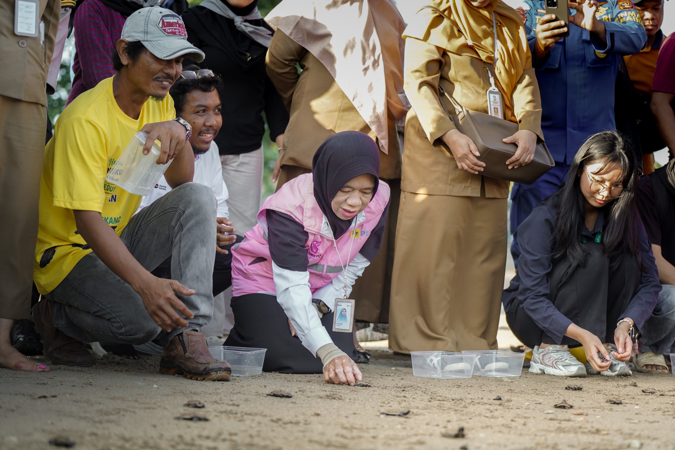 PLN UID Kaltimra Lepas 80 Tukik Penyu Lekang di Pantai Balikpapan Bersama JMSI dan Forkopimda