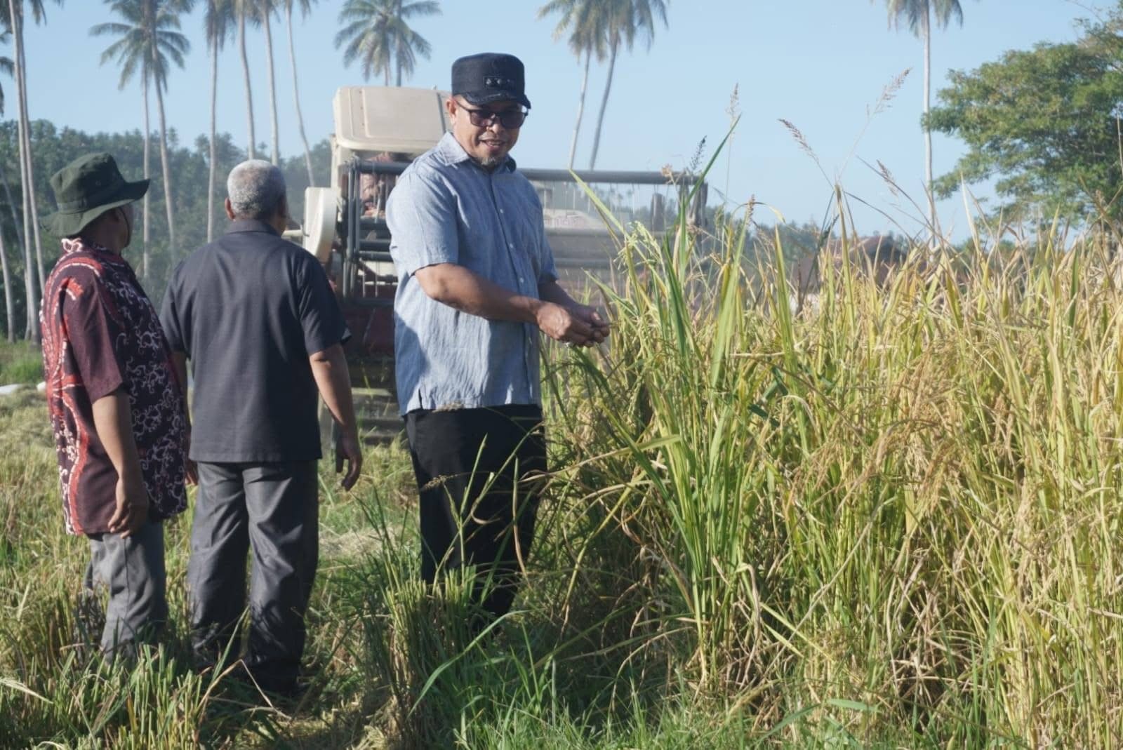 Bupati Bolmong Utara Tinjau Panen Raya Padi IPB 15S di Desa Gihang, Produktivitas Capai 12 Ton per Hektare