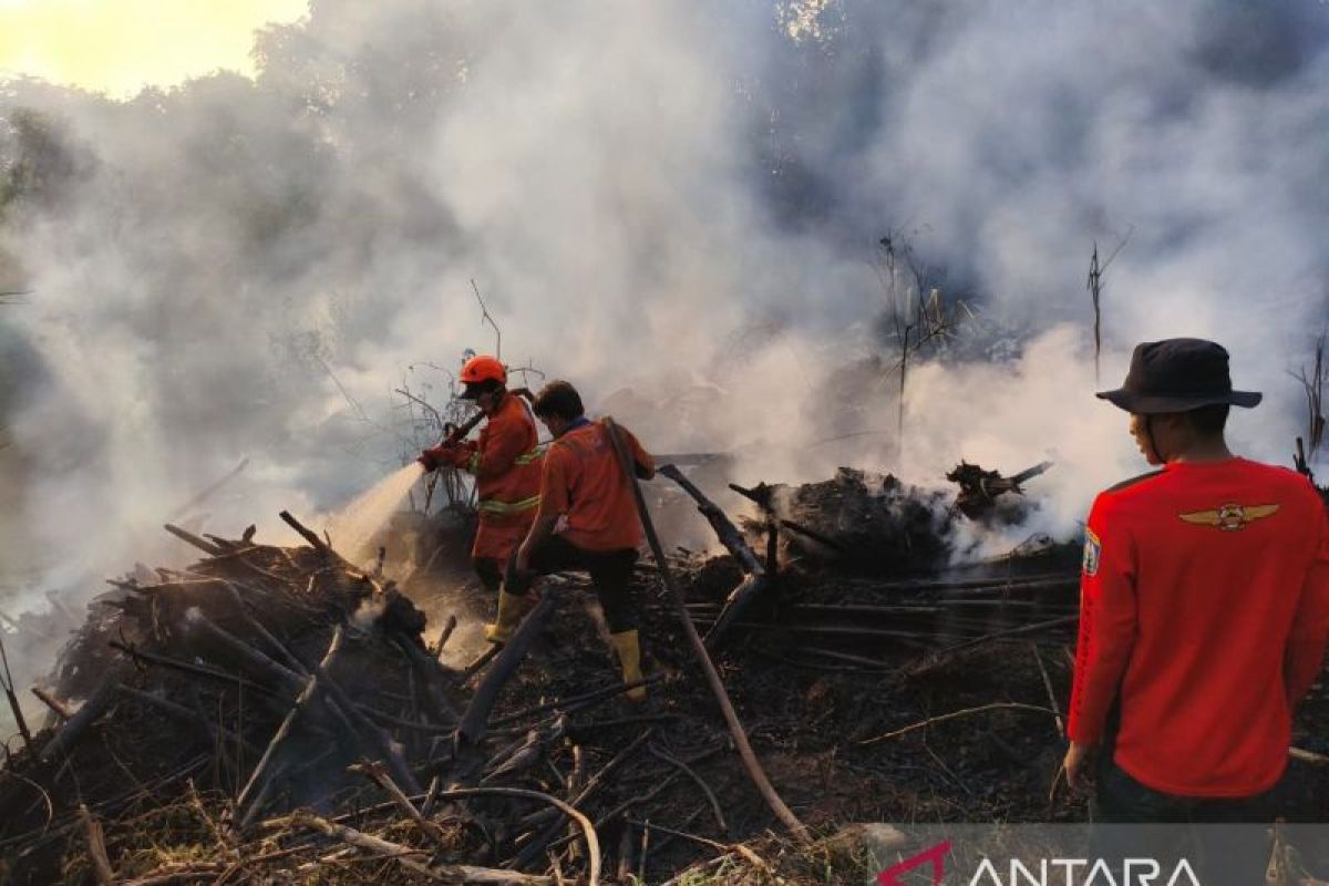 Karhutla di Dua Desa OKU Hanguskan 1,5 Hektare Lahan, Tim Gabungan Berhasil Padamkan Api