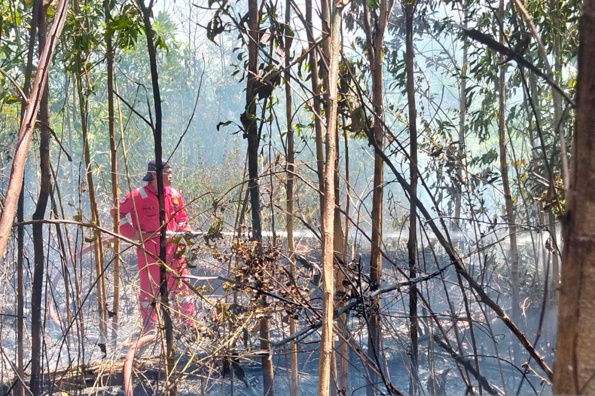 BPBD Belitung Siagakan Personel dan Armada Hadapi Peningkatan Kebakaran Lahan di Musim Kemarau