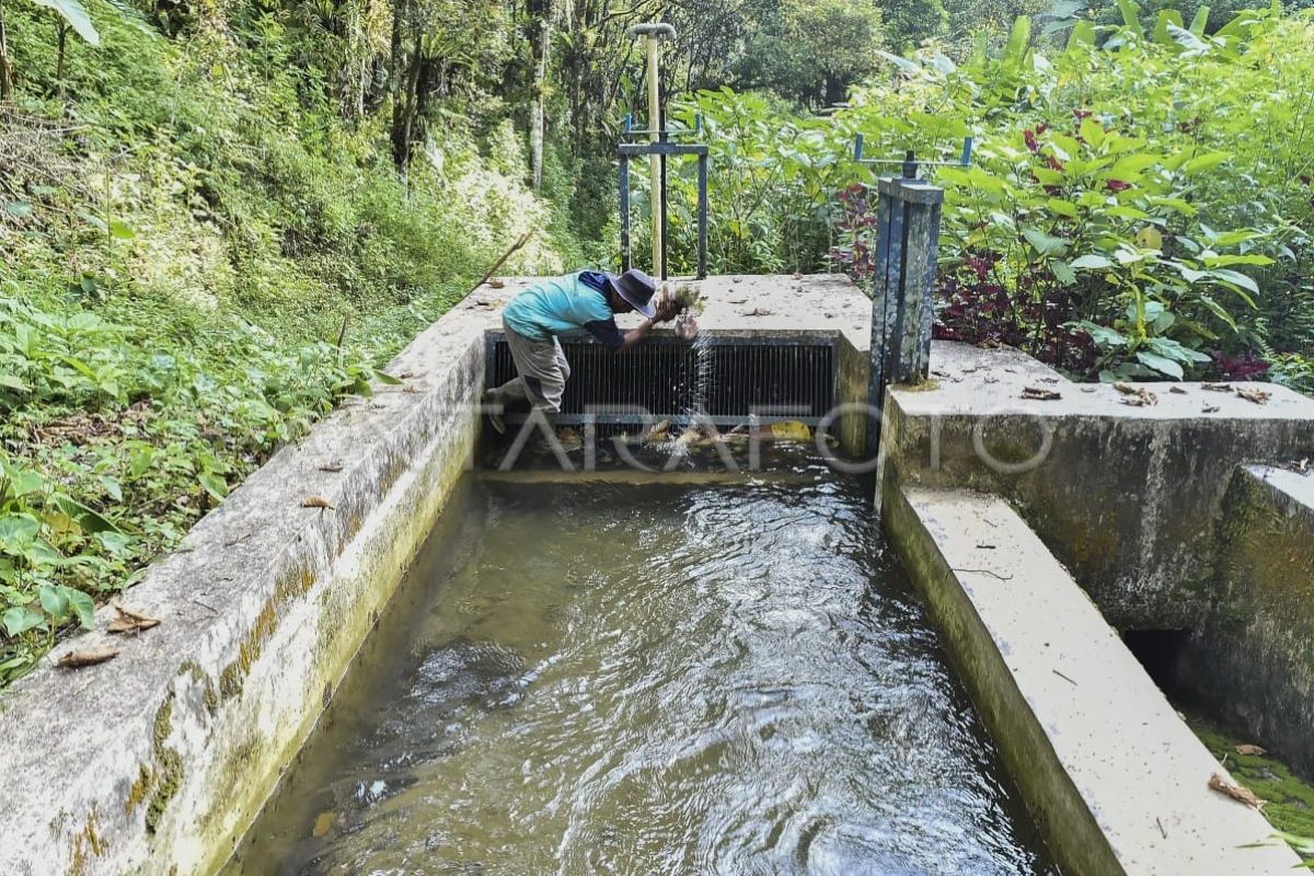 PLTMH 60 kW di Desa Renah Kasah Kerinci Aliri Listrik 150 Kepala Keluarga Sejak 2020, Petugas Rutin Bersihkan Penampung Air
