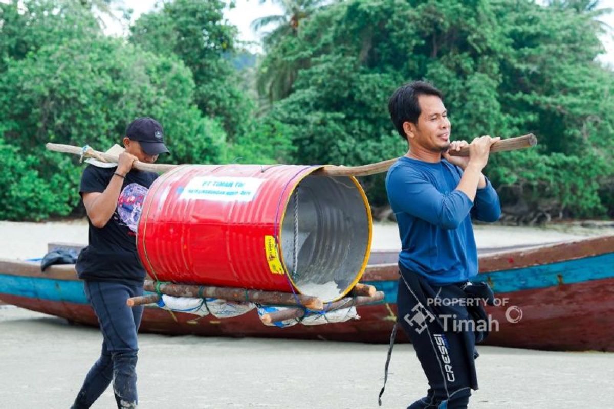 PT Timah Tebar 850 Ribu Anakan Cumi di Perairan Bangka, Targetkan Populasi Pulih dan Nelayan Makmur