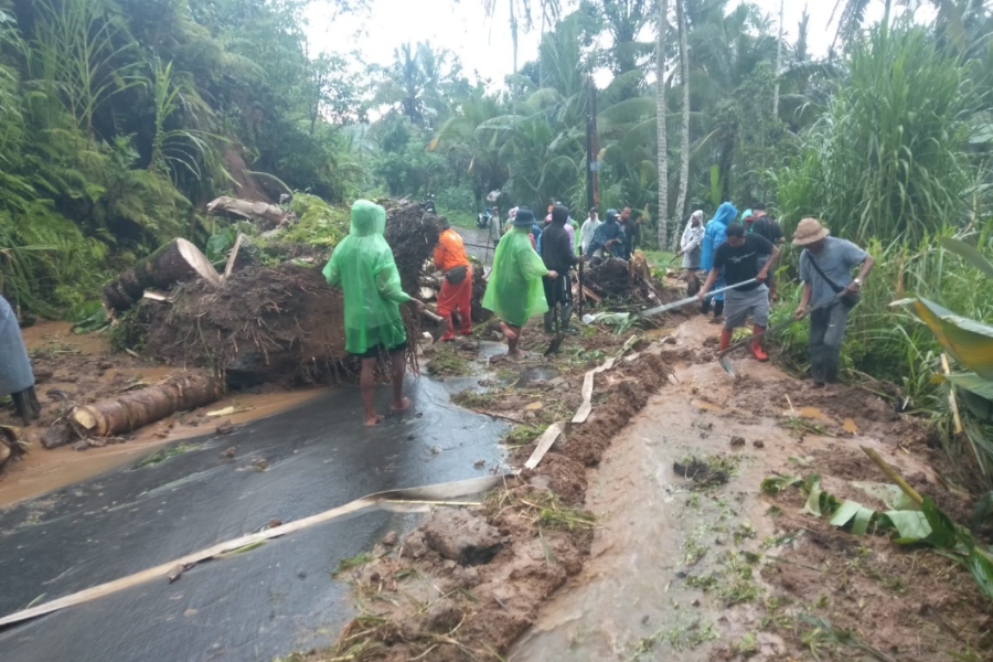 Bali Masuki Musim Pancaroba, BPBD Peringatkan Potensi Pohon Tumbang hingga Longsor; Warga Denpasar Diamankan Usai Aniaya Tetangga