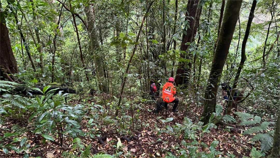 Tim SAR Perluas Area Pencarian Pendaki Asal Aceh Utara yang Hilang di Gunung Seulawah, Kabut Jadi Kendala