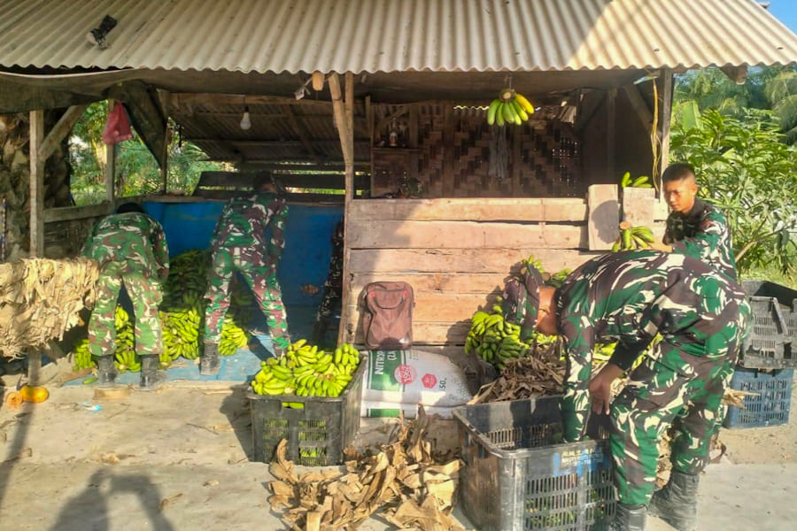 Satgas TMMD Ke-129 Kodim 0208/Asahan Bantu Petani Pisang di Desa Kapal Merah, Angkut Hasil Panen hingga Siapkan Pemasaran