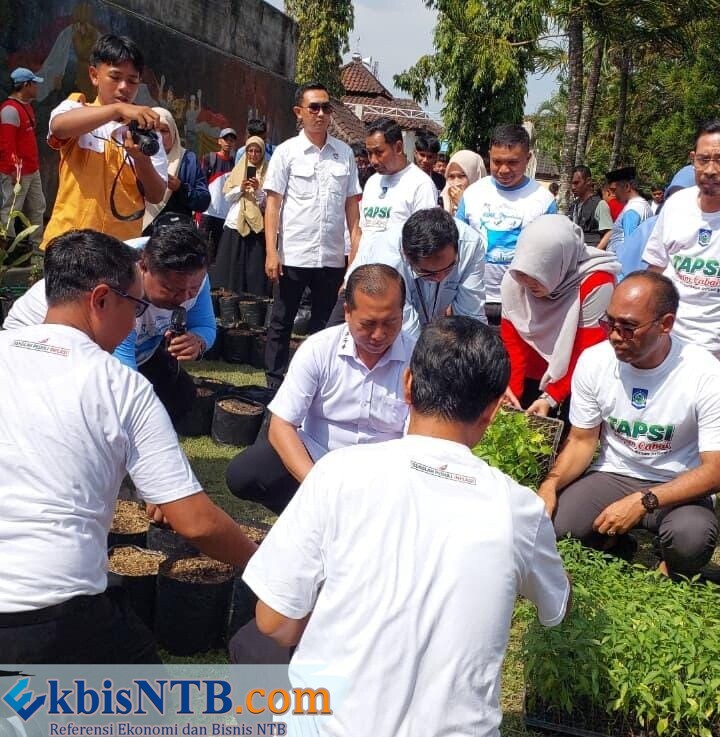 Pemprov NTB Bagikan 400 Ribu Bibit Cabai Gratis ke Sekolah, Target Tekan Inflasi saat Harga Meroket