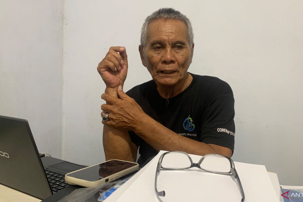 Wisata Hiu Paus Botubarani di Bone Bolango Dongkrak Ekonomi Warga Pesisir, Tarif Diatur Peraturan Desa