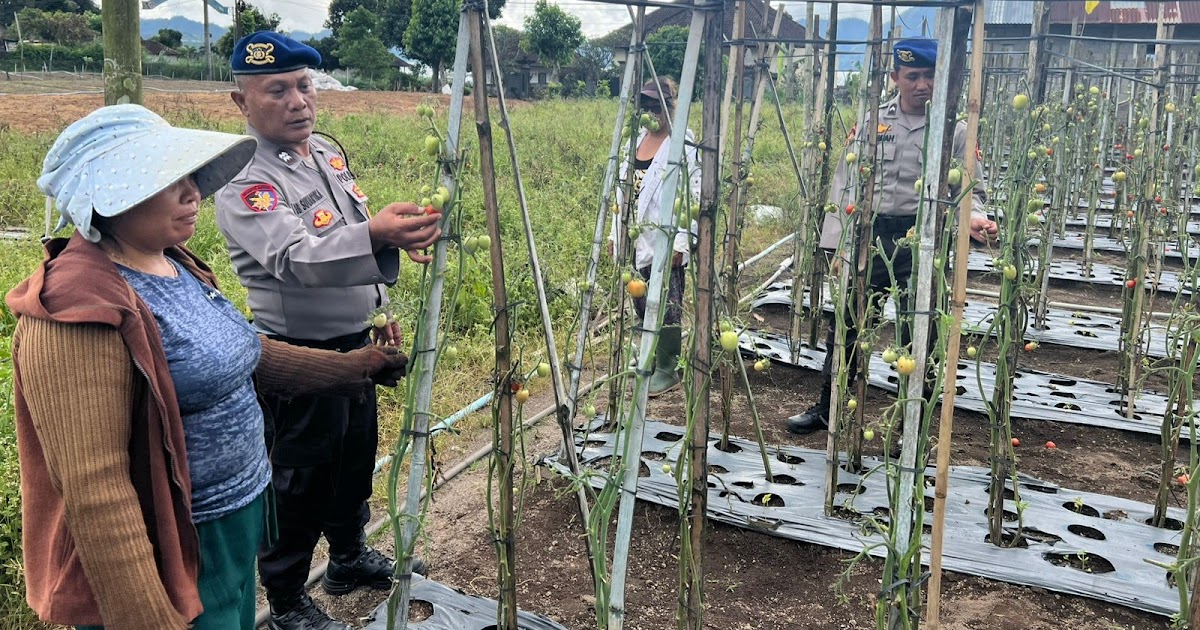 Sambangi Petani di Pesisir Danau Batur, Polisi Ajak Warga Bangli Optimalkan Lahan demi Ketahanan Pangan