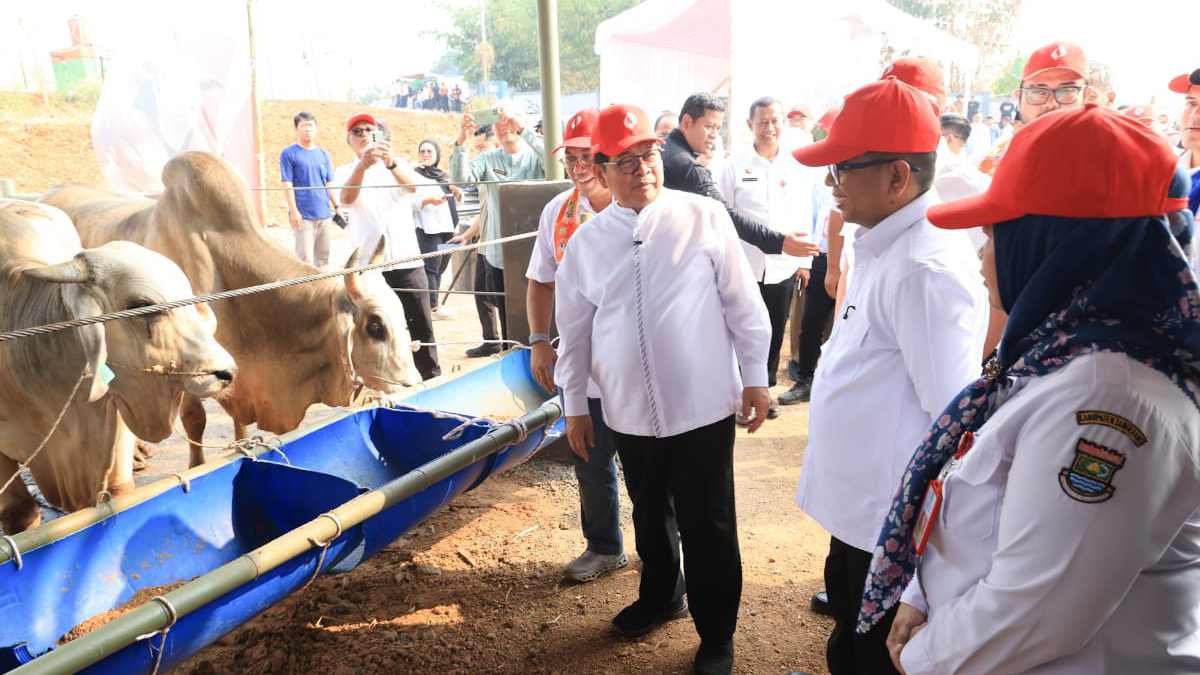 Pemprov DKI Jakarta Kucurkan Rp 1 Triliun untuk Peternakan Ciangir Tangerang, Target Tampung 5.000 Sapi