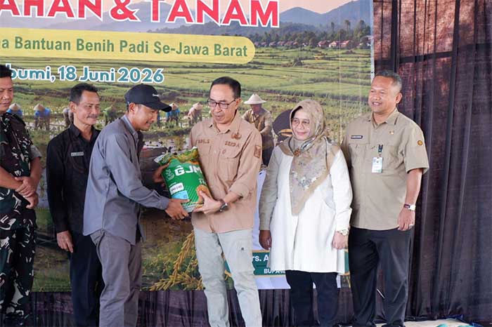 Antisipasi El Nino Juli-Oktober, Pemkab Sukabumi Kejar Target Tanam Padi 11.114 Hektar Serentak