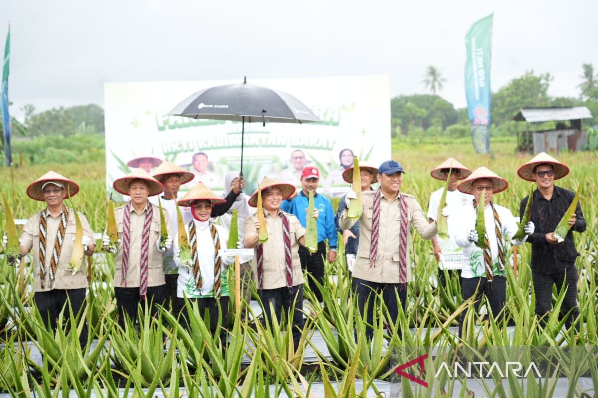 Wakil Menteri Pertanian Dorong Hilirisasi Lidah Buaya Pontianak, Target Produk Olahan Bernilai Ekonomi Tinggi