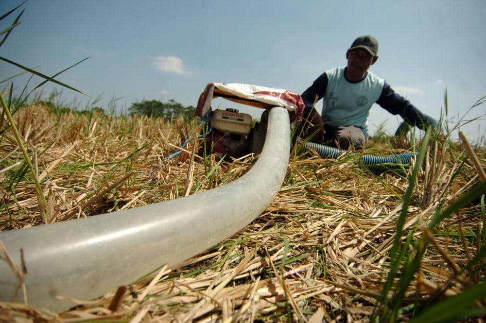 5 Fakta Kemarau Landa 98 Persen Wilayah Jawa Barat, Pemprov Tetapkan Siaga Darurat hingga 30 September 2026