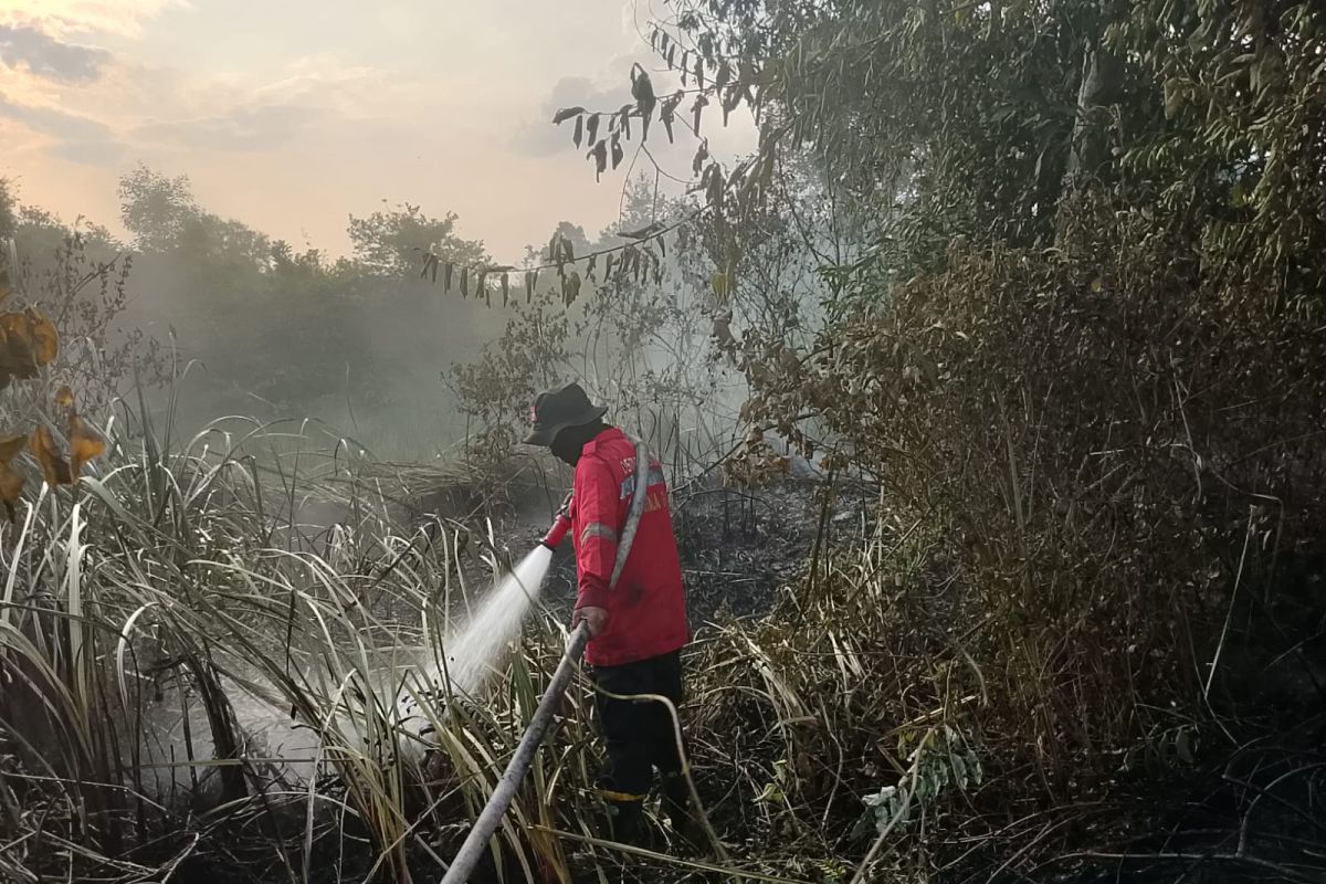 Musim Kemarau Picu 306 Kebakaran Hutan dan Lahan di Sumsel hingga Awal Juli 2026, PALI Jadi Zona Merah