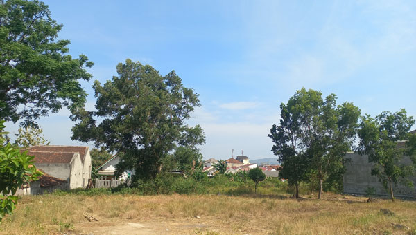 Cuaca Lampung Hari Ini: 4 Wilayah Berpotensi Hujan, Suhu Capai 34 Derajat Celcius