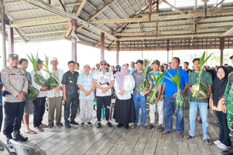 Pemkab Tojo Una-una Salurkan 110 Bibit Kelapa Dalam per Hektare untuk Delapan Gapoktan di Kecamatan Una-una