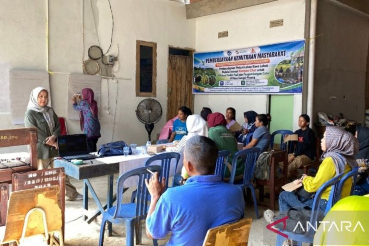Tim PKM Universitas IBA Palembang Ciptakan Pupuk Kompos-Char untuk Atasi Lahan Rawa Lebak di Banyuasin, Petani Bisa Produksi Mandiri