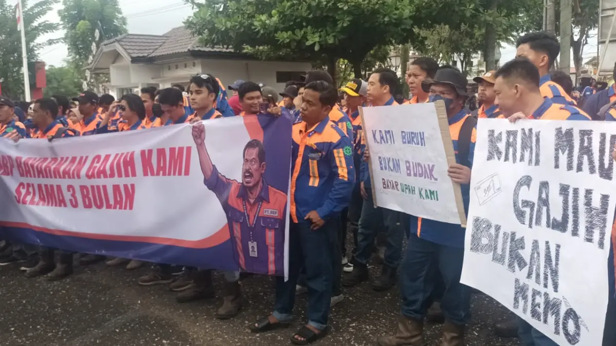 Tiga Bulan Gaji Tak Dibayar, Puluhan Karyawan Tambang Batu Bara PT Bumi Bagas Perkasa di Tabalong Demo ke DPRD