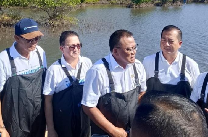 Pemprov NTB Bentuk BUMD Perdagangan Karbon, Mangrove Sumbawa Disiapkan Jadi Motor Ekonomi Hijau Baru