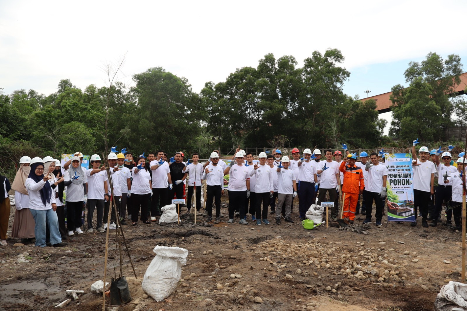 Peringati Hari Lingkungan Hidup, PLN Indonesia Power Tanam Ratusan Pohon di Area PLTU Pangkalan Susu, Langkat