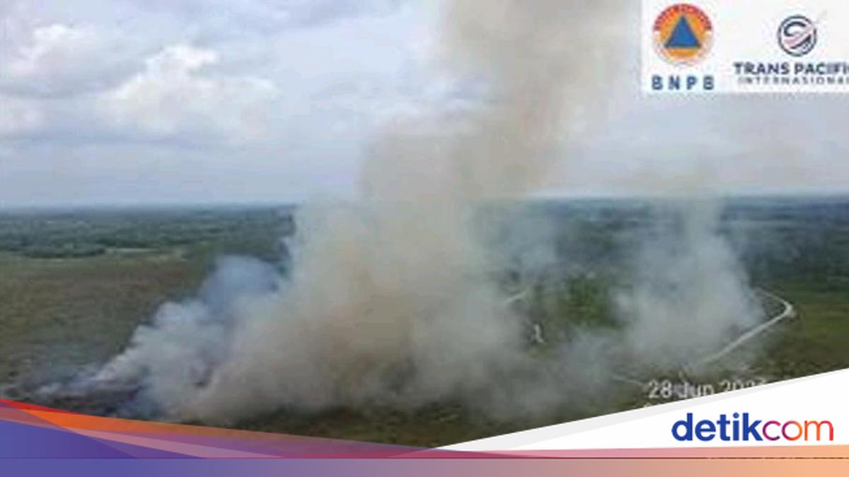 Empat Helikopter Water Bombing Padamkan Karhutla di Tiga Daerah Sumsel, Belasan Hektare Lahan Terbakar