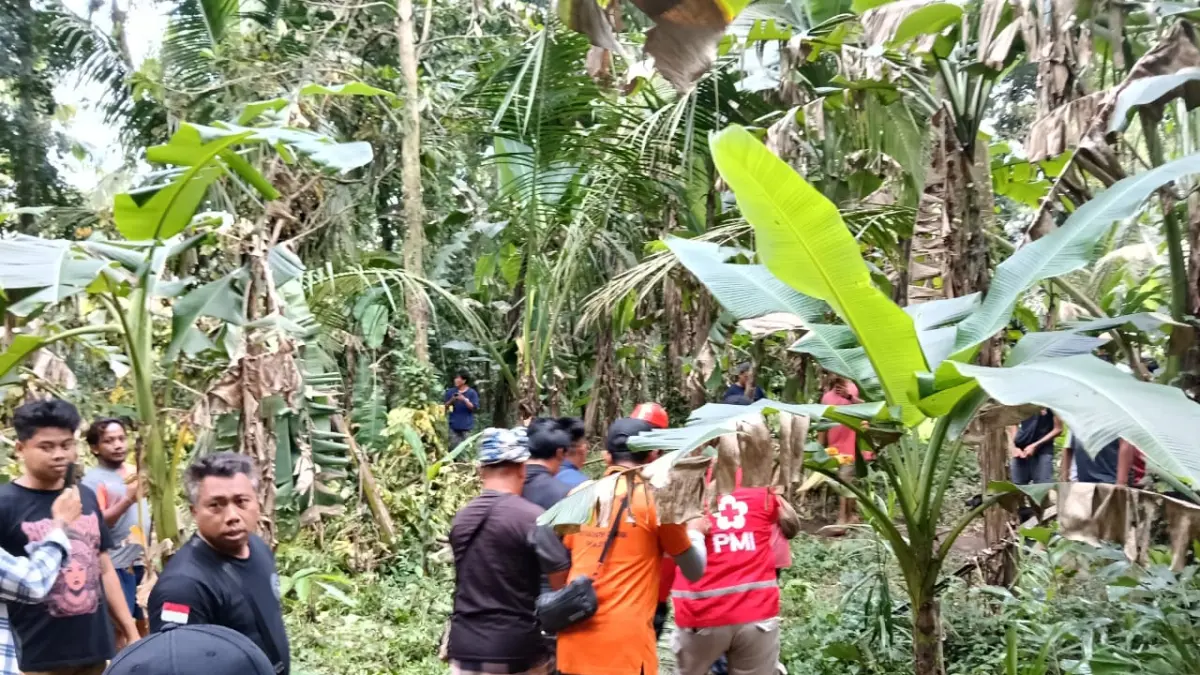 Tali Pengaman Putus, Pemanjat Enau Asal Buleleng Jatuh dari Ketinggian 12 Meter di Ubud