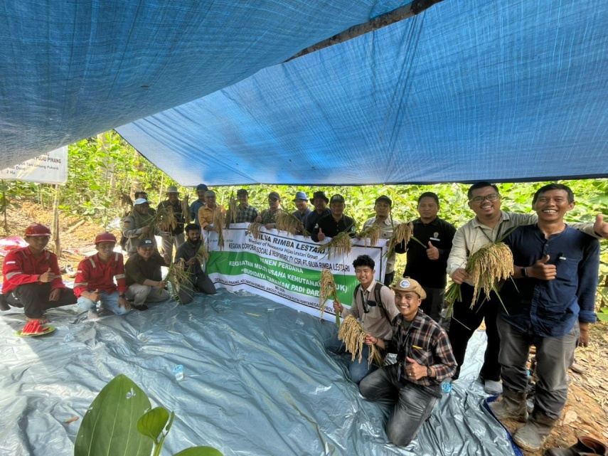 Gandeng Petani di Kutai Kartanegara, PT Silva Rimba Lestari Panen Perdana Padi Darat Lewat Program Multi Usaha Kehutanan